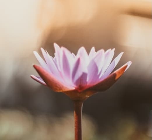 Setkání se sebou – program pro ženy